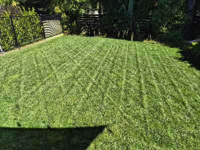 Lawn Coach