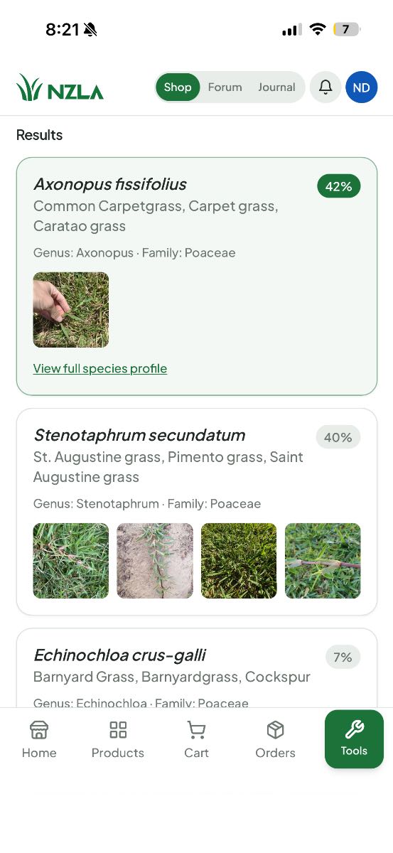 Weed ID follow-up — Carpetgrass in Kikuyu? — image 1