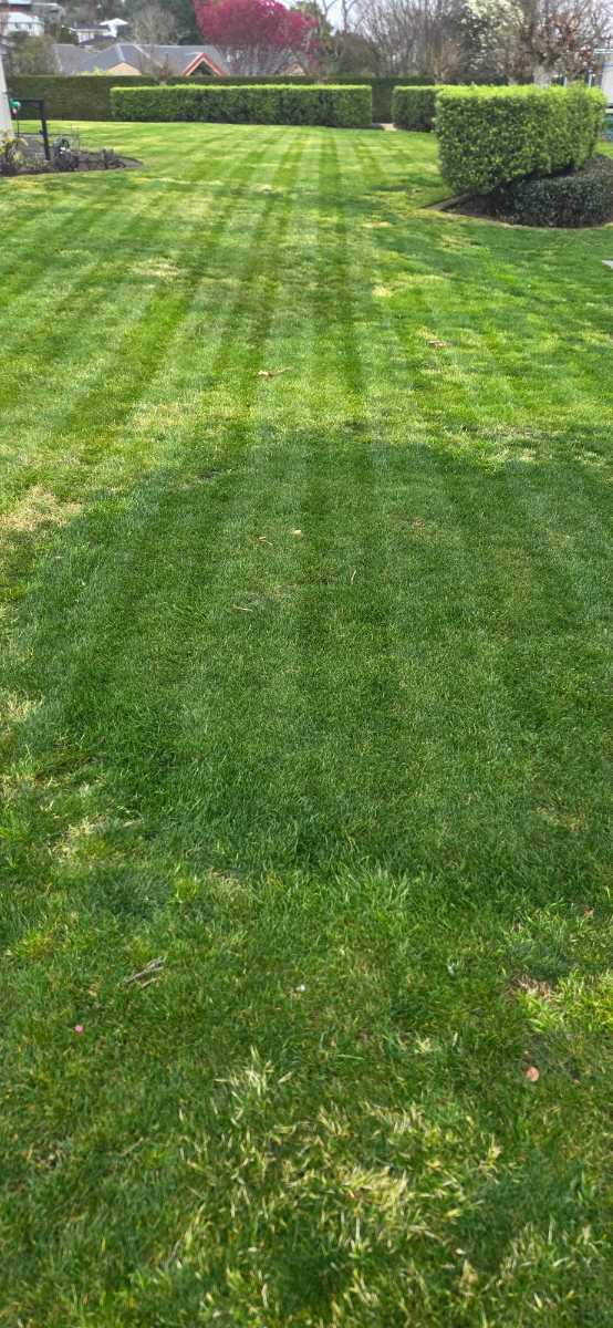 Grass ID — image 1