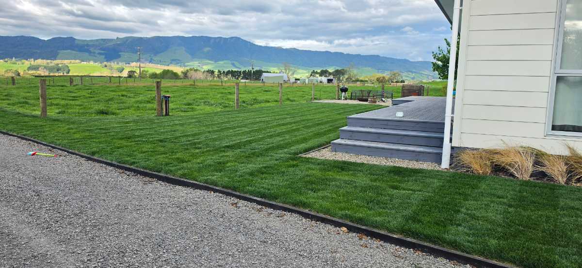 Why isn’t my lawn growing in spots after a lawn renovation? — image 3