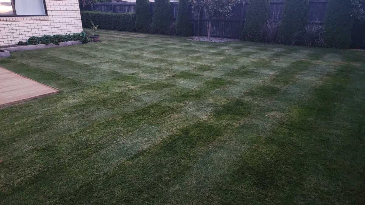 How can I help my lawn recover from a HOC reset? — image 1