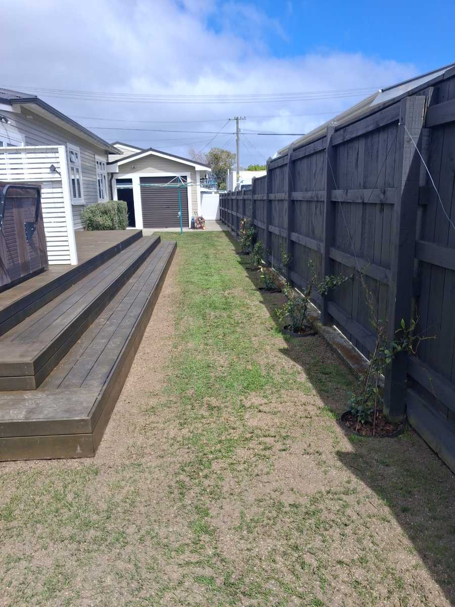 When can I apply Grub+ and liquid fertiliser after a lawn renovation? — image 1