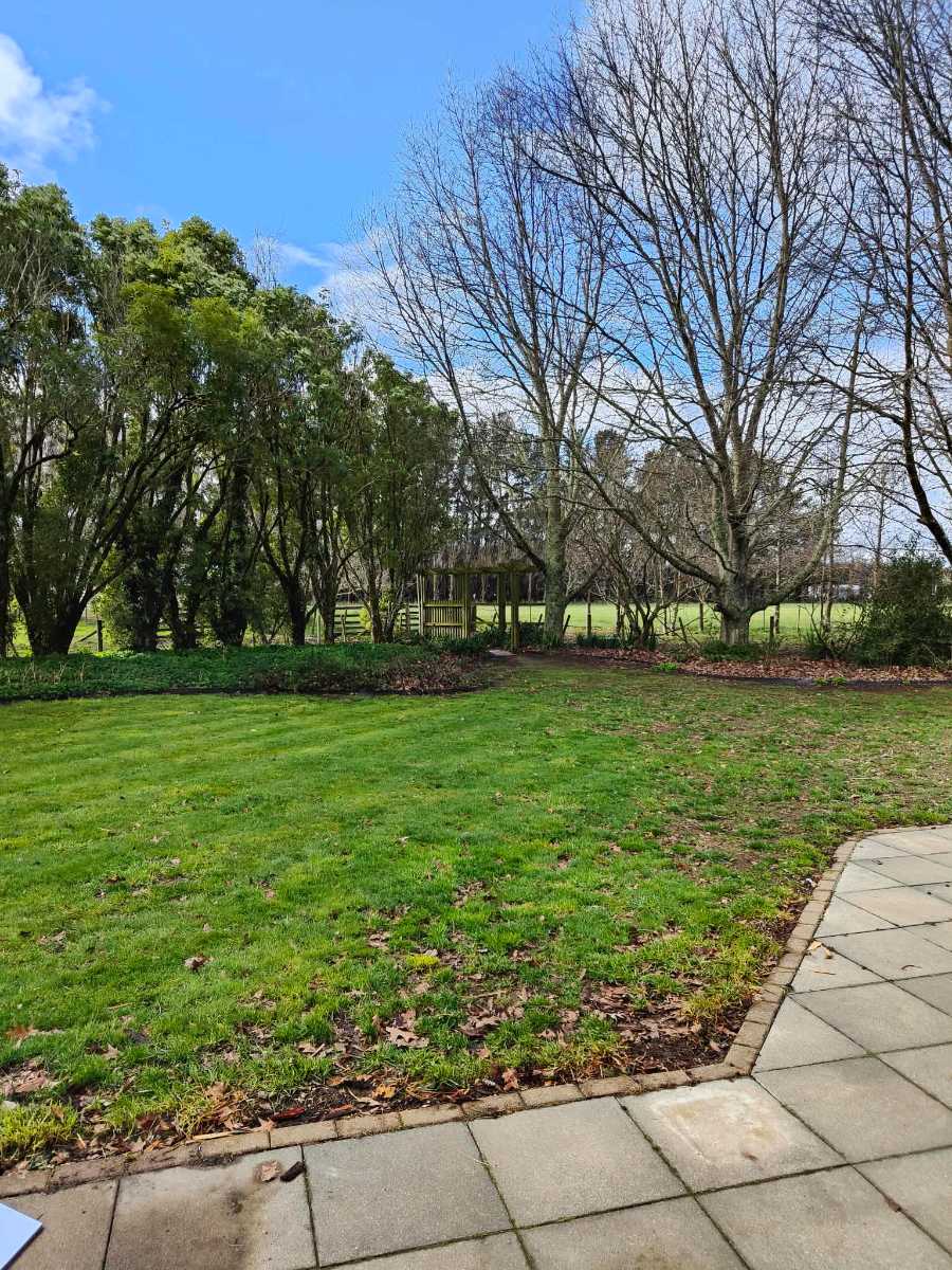 From patchy lawn to stripes: ETF renovation success — image 1
