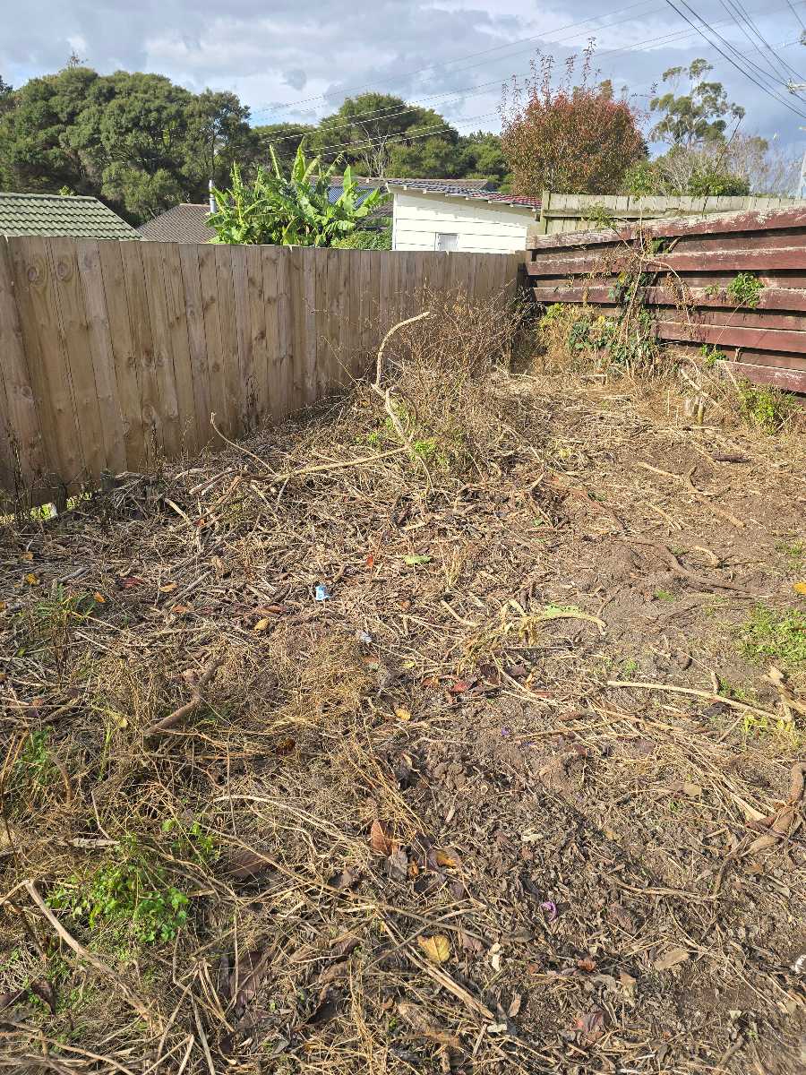 Backyard renovation: Best way to prepare this soil for grass seed? — image 2