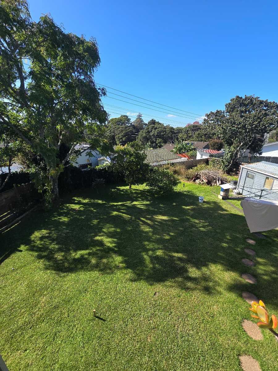 Spring lawn renovation NZ: kill, level, irrigate and reseed with ETF — image 1