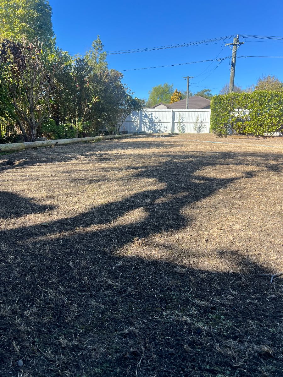 Lawn Renovation: Should I level before coring, topdressing and seeding? — image 1