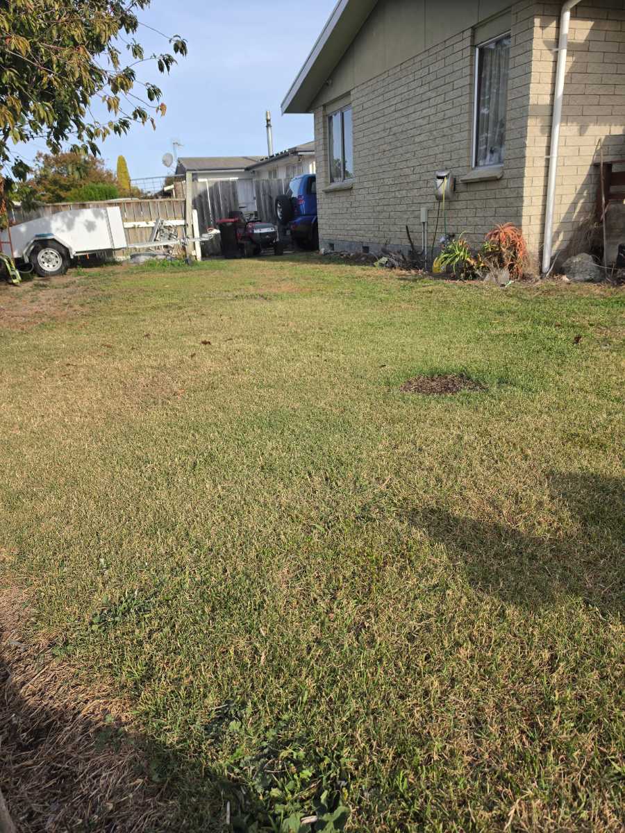 New lawn, getting started with lawn care basics — image 2