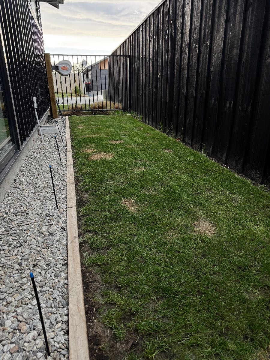 Lawn seed options: What grass handles dog urine best? — image 1
