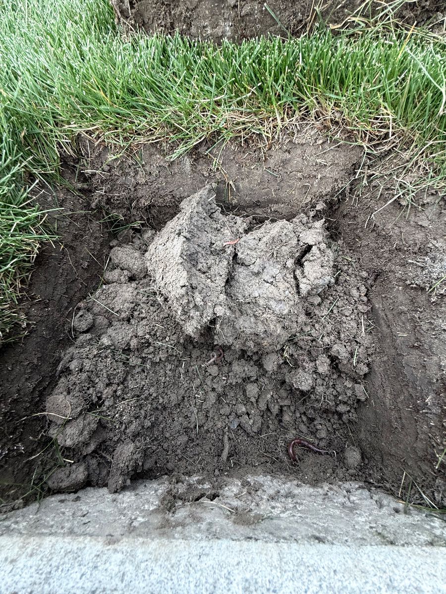 Soil Compaction — image 3