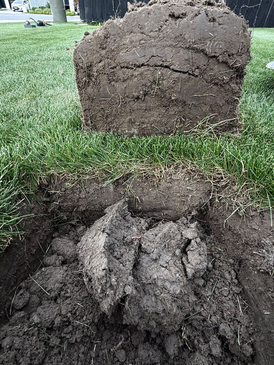 Soil Compaction — image 2