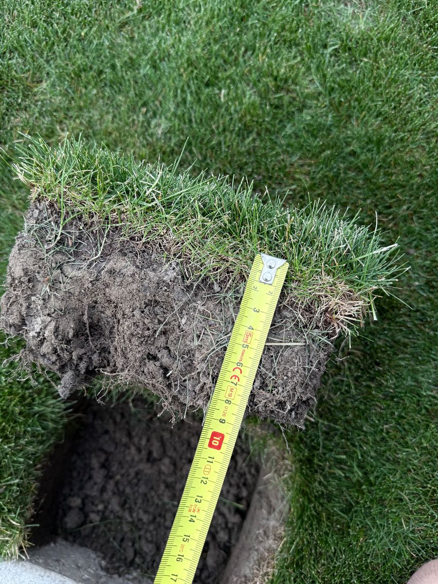 Soil Compaction — image 1