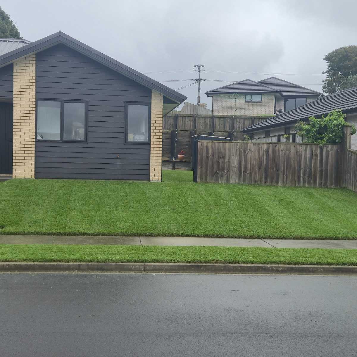 How do I kill a kikuyu lawn? — image 1