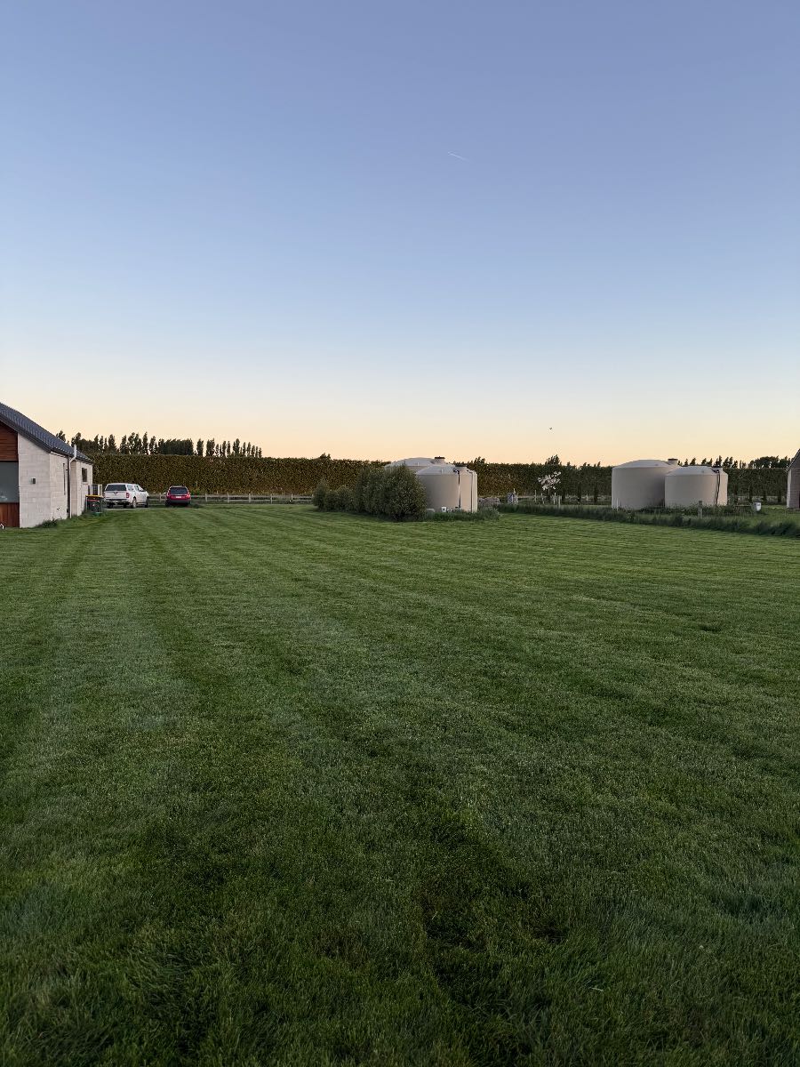 Advice on Renovating a Large Fine Fescue/Ryegrass Lawn, Treating Fungus & Controlling Couch Grass — image 1