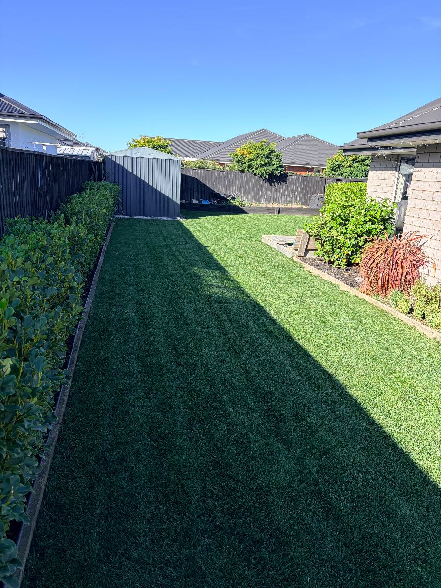 Irrigation pipe trench settling. How do I fix low spots in my lawn? — image 1