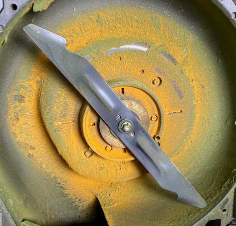 Lawn rust disease in NZ: orange powder on grass blades — image 2