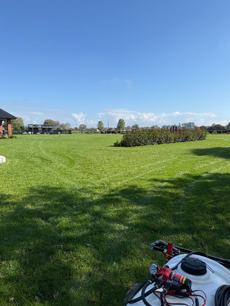 Autumn lawn care NZ: fertiliser and pre-emergent timing — image 1