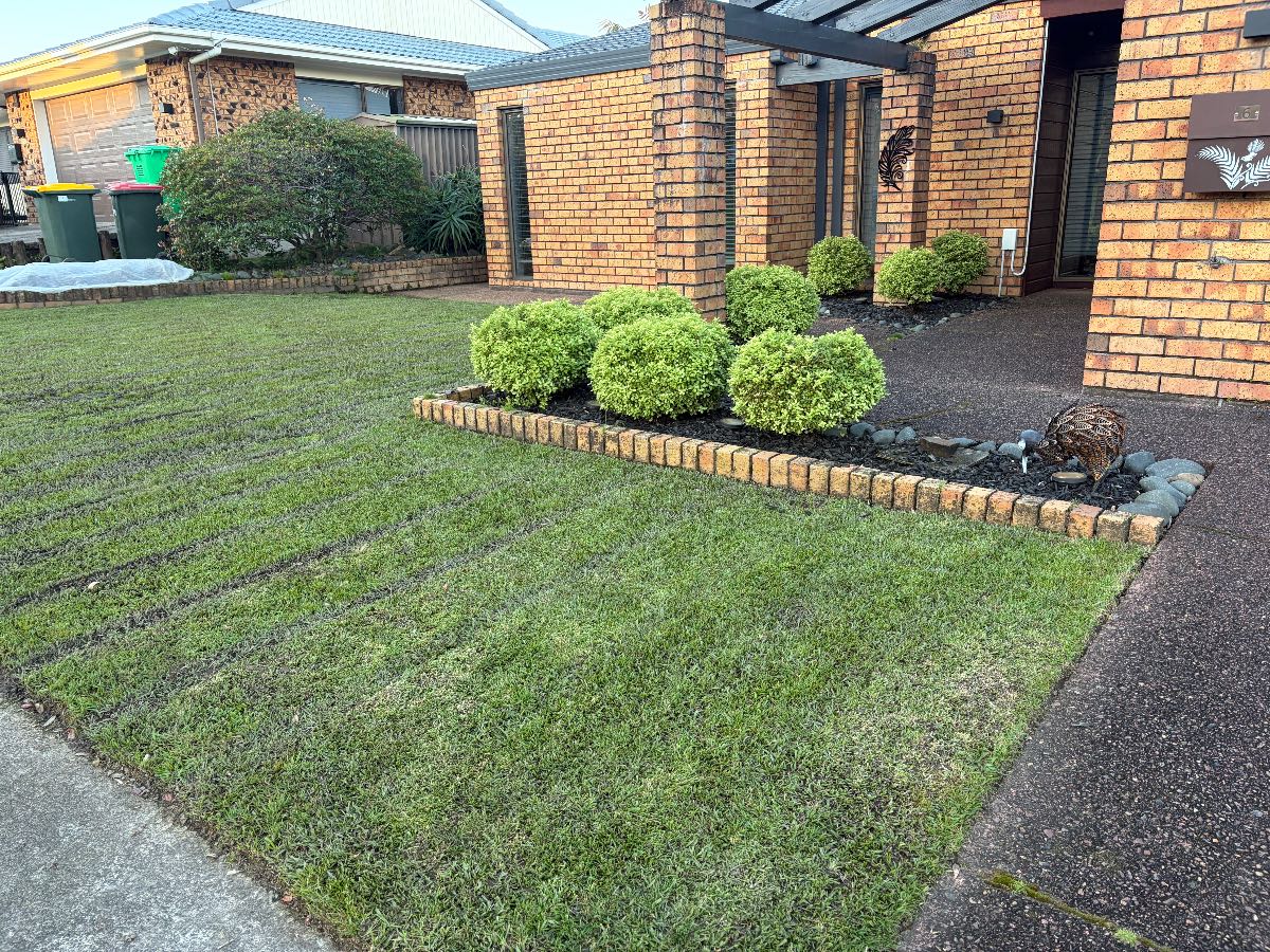 How to apply NZLA BWC herbicide to a Kikuyu lawn — image 1