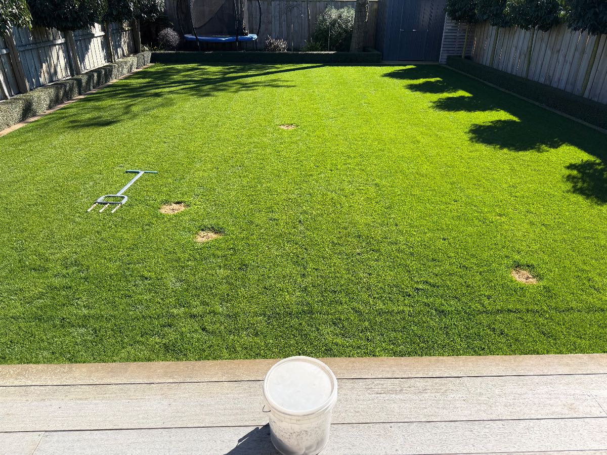 How to Repair Dog Urine Patches in Your Lawn — image 2