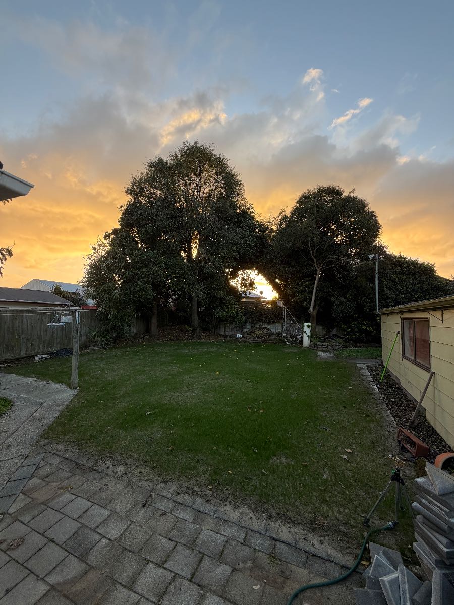 When is a new ryegrass and fescue lawn ready for its first mow? — image 2