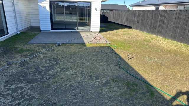 Best grass seed and topsoil for a new lawn in Rangiora — image 2