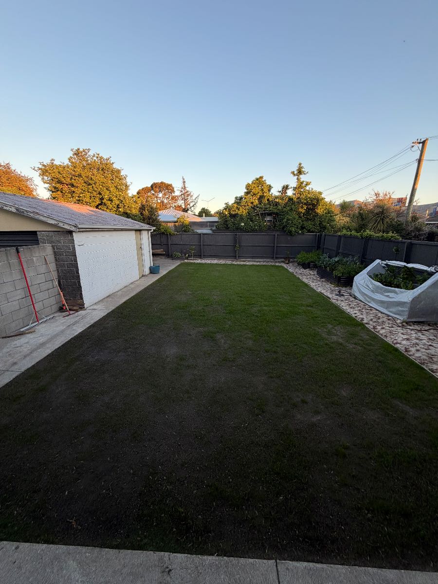 How to remove fine fescue from a new ryegrass lawn and overseed with NZLA Dark Rye — image 1