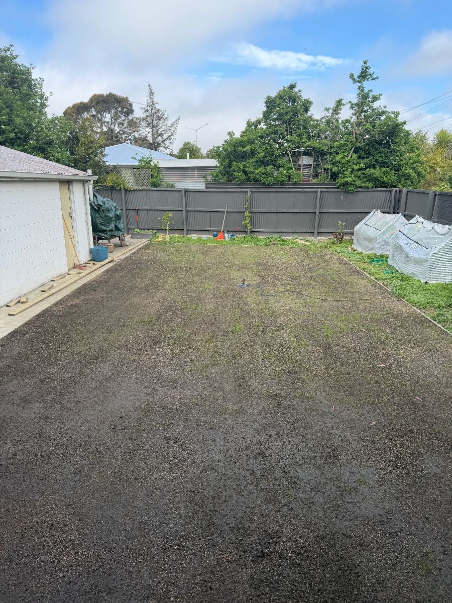 Weed control in a newly seeded lawn, when is it safe to spray? — image 1