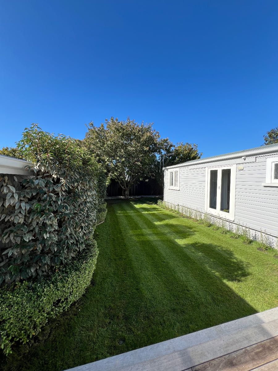 Lawn damaged after too much Meso and Etho? Recovery advice welcome. — image 1