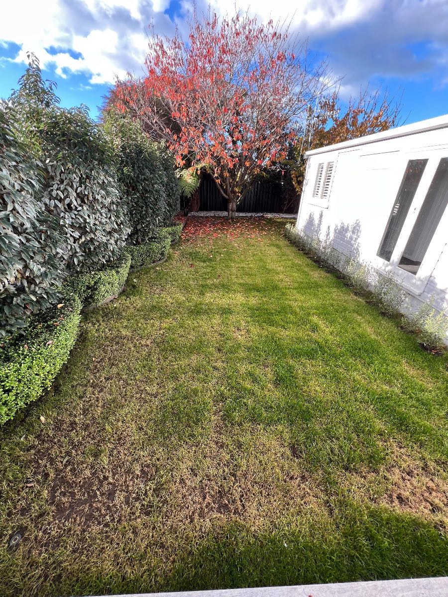 Lawn damaged after too much Meso and Etho? Recovery advice welcome. — image 2