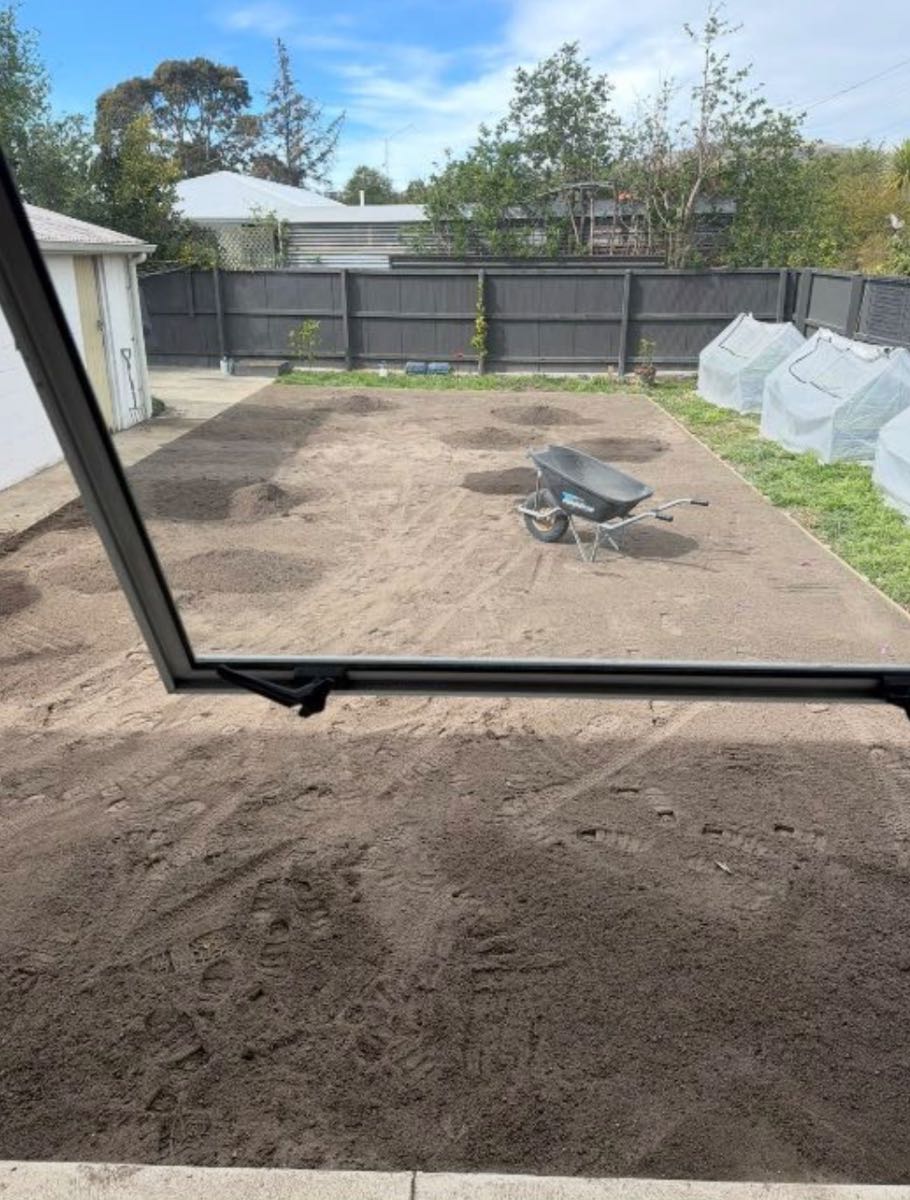 Choosing the right lawn seed in Christchurch — image 1