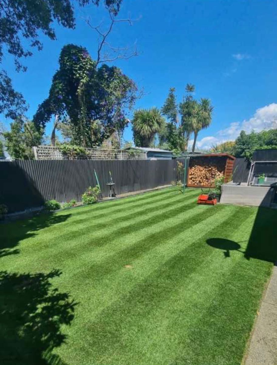 Spring overseeding with ETF – renovation tips — image 1