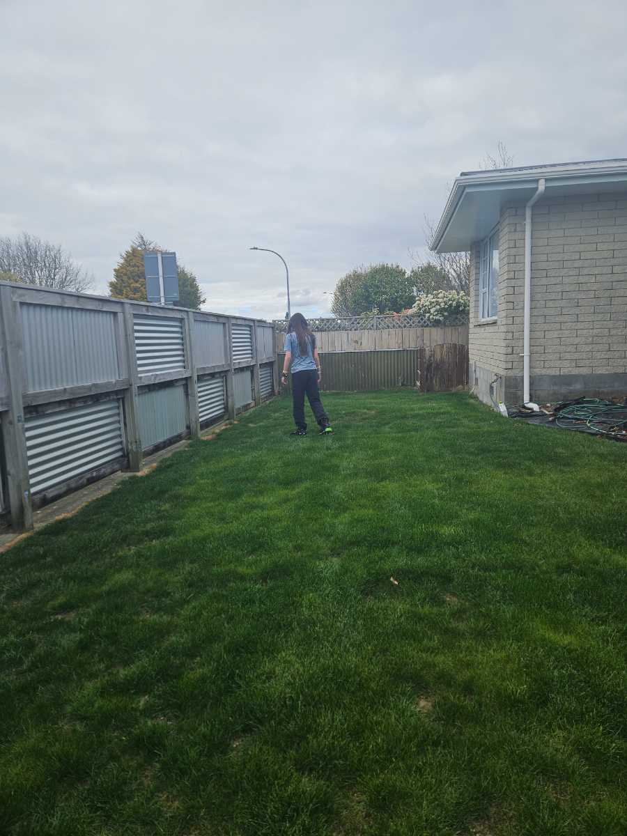 What should I apply next after Etho to improve my lawn? — image 1