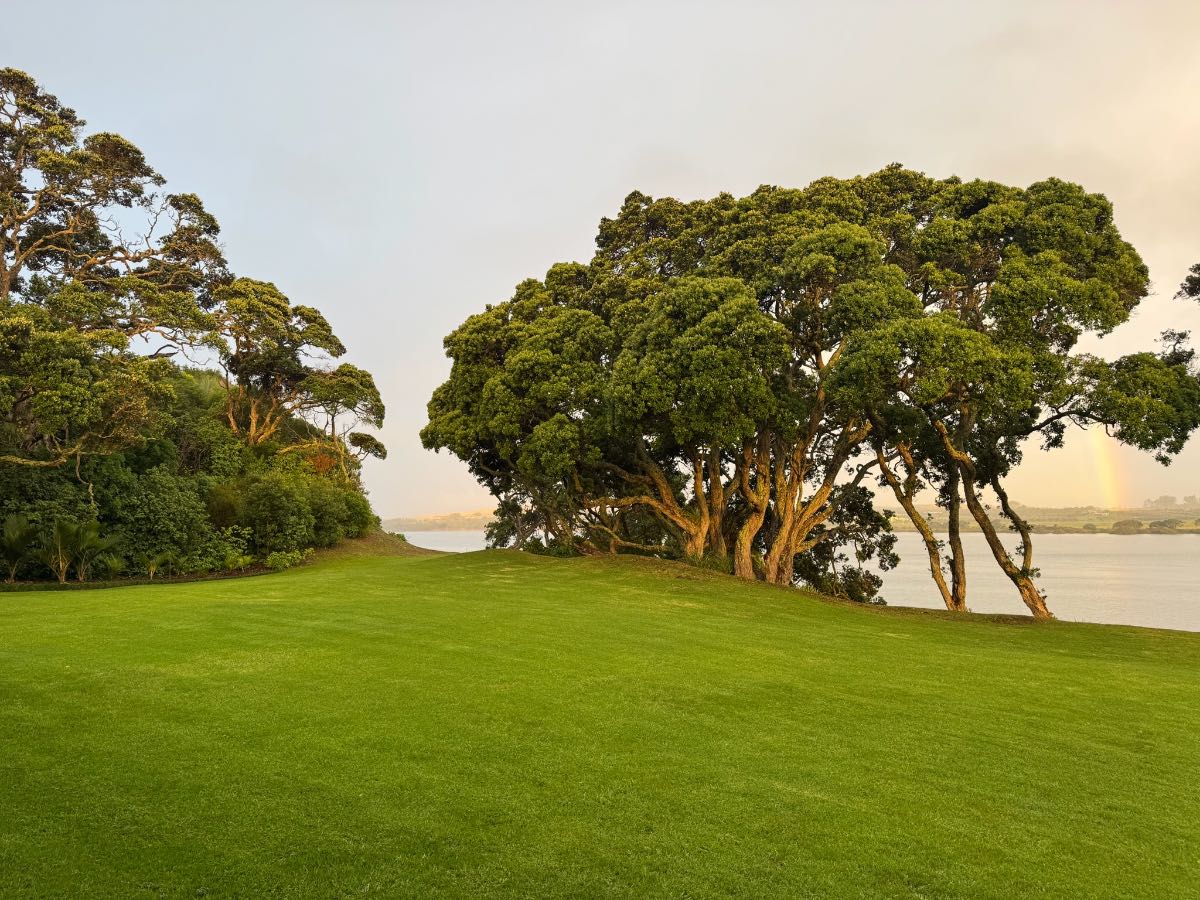 Overseeding Tall Fescue into existing Ryegrass and Kikuyu lawns — image 1