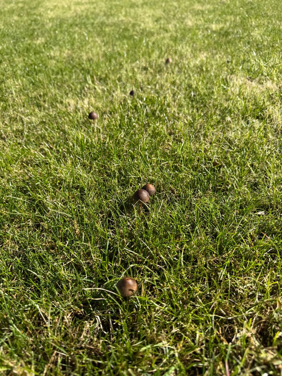 No sure what’s going here ??? — image 2