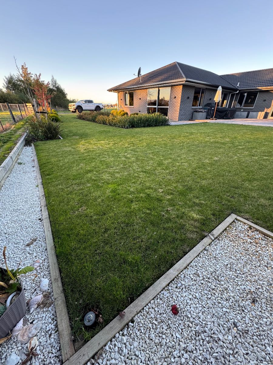 Should I treat moss and fungus now or wait until spring? — image 1