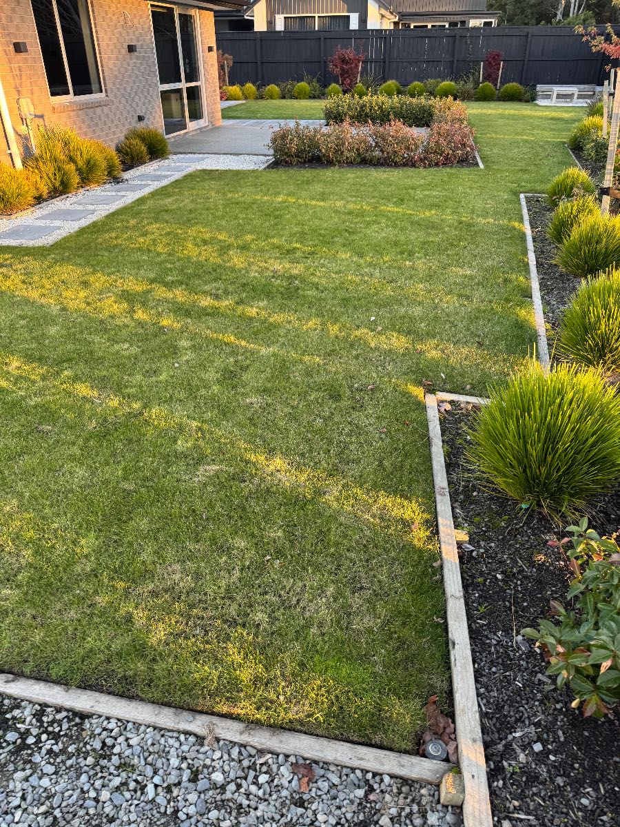 Should I treat moss and fungus now or wait until spring? — image 3