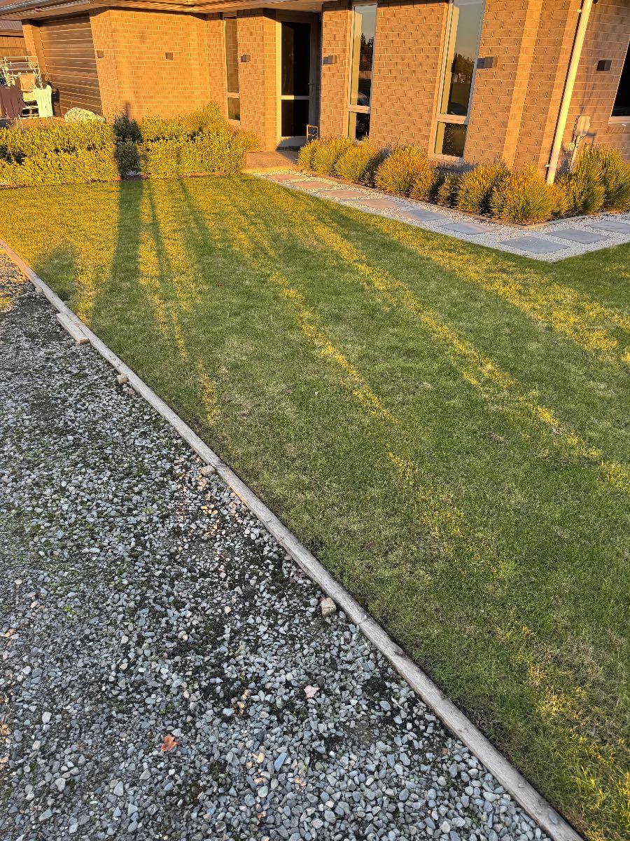 Should I treat moss and fungus now or wait until spring? — image 2