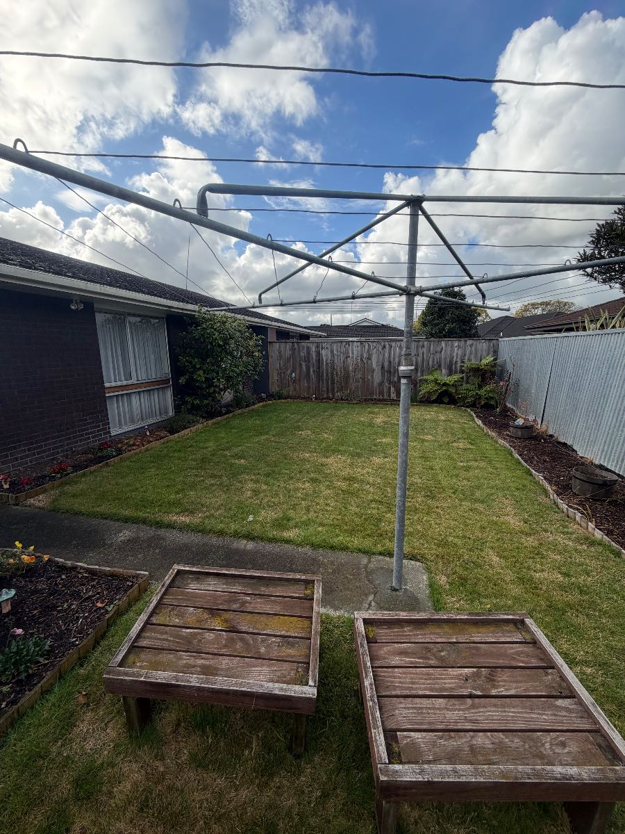 Patchy lawn with moss and unknown grass type – advice before spring renovation — image 2
