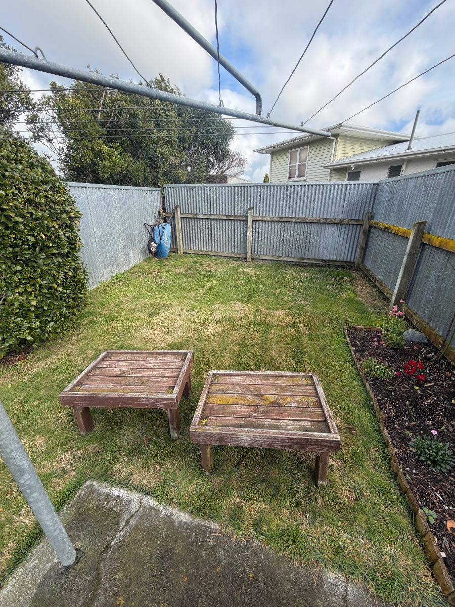 Patchy lawn with moss and unknown grass type – advice before spring renovation — image 3